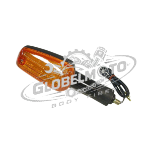 Motorcycle Indicator